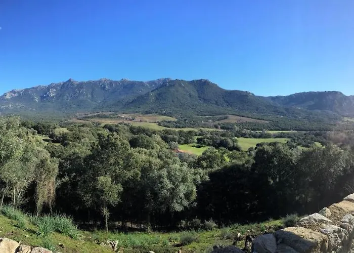 Maison De Campagne, Deux Chambres, Vue Sur Les Montagnes Sartène